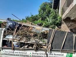 Best Attic Cleanout  in Blountville, TN