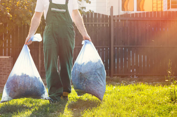 Best Hoarding Cleanup  in Blountville, TN